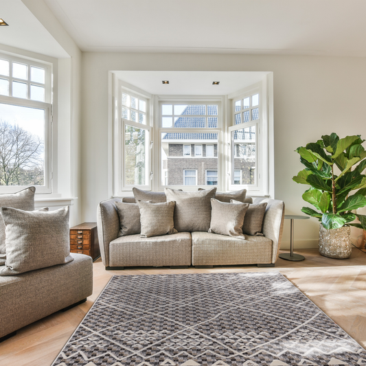Bright modern living room with large grey sofas in front of the window, large fiddle plant and Smyrna Beige Rug